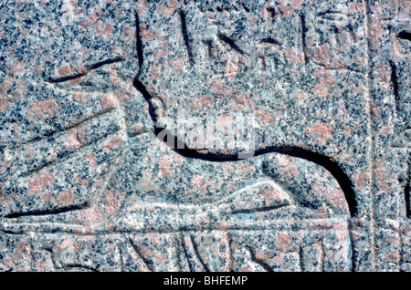 Von der Soforthilfe auf Granit Sarkophag des Anubis, Memphis, Ägypten, Reich der Mitte Zeitraum Detail. Artist: Unbekannt Stockfoto