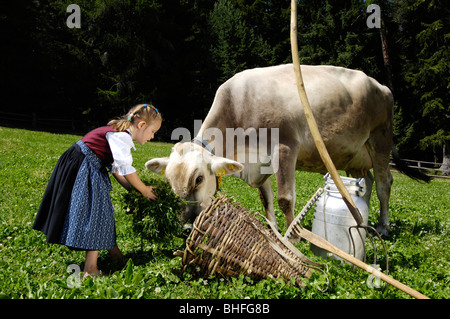 Mädchen tragen eine Tracht, Dirndl, Fütterung, eine Kuh, Alp, Landwirtschaft, Bauernhof Urlaub, Südtirol, Italien Stockfoto