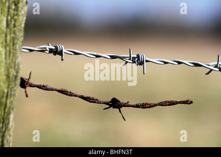 Neuen und alten rostigen Stacheldraht für das Fechten ein Spielfeld. Stockfoto