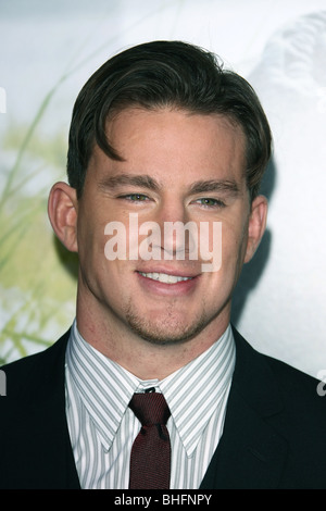 CHANNING TATUM DEAR JOHN Welt PREMIERE HOLLYWOOD LOS ANGELES CA USA 1. Februar 2010 Stockfoto