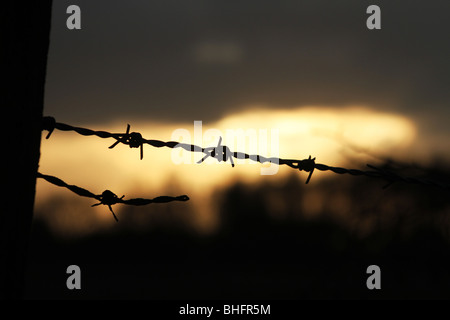 Alt und rostendem Stacheldraht mit neuen Zaun ein Feld. Stockfoto