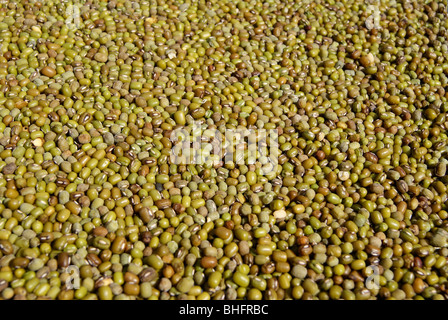Viele grüne Erbsen closeup Stockfoto