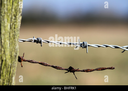 Neuen und alten rostigen Stacheldraht für das Fechten ein Spielfeld. Stockfoto