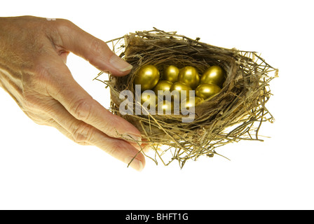 Ältere Frau für Vogelnest mit kleinen goldenen Eiern, Studio gedreht zu erreichen Stockfoto