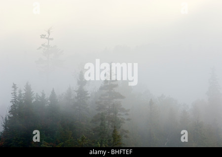 Morgen Nebel über Kenny Lake, Lake Superior Provincial Park, Ontario, Kanada Stockfoto