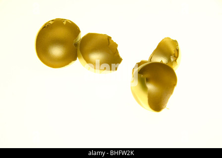 Leere gebrochen gold Nest Eiern, Studio gedreht Stockfoto