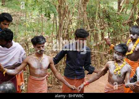 Stahl-Eisen-Stab durchbohrt durch zwei Personen Wange. Eine Vielzahl und unglaublich seltene Kavadi Festivalszene aus Kerala, Indien Stockfoto