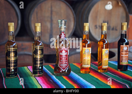 Tequila-Alkohol in Flaschen in der Destillerie in der Nähe von Puerto Vallarta, Mexiko. Bunte Flaschen auf mexikanische Decke vor Fässer. Stockfoto