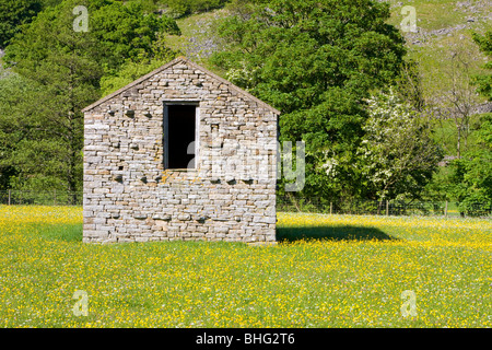 Stein-Scheune-Mähwiesen Muker, Yorkshire Dales, UK Stockfoto