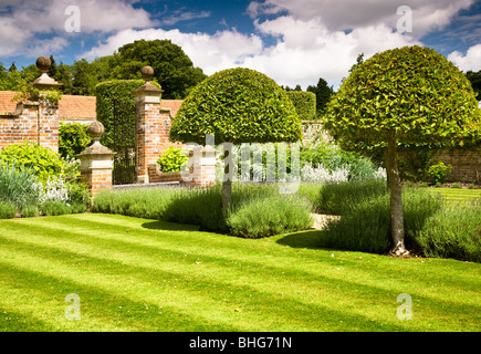 Formschnitt einen Lavendel gesäumten Weg in den Garten eines Landhauses in England, UK Stockfoto