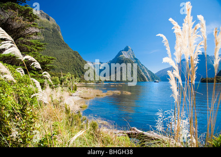 Gebirge mit See und Pflanzen, Mitre Peak, Milford Sound, Südinsel, Neuseeland Stockfoto