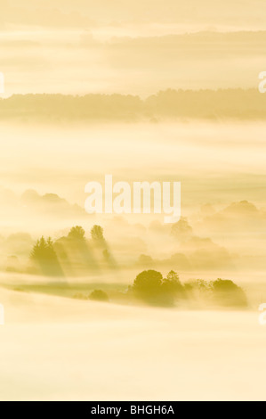 Inversion Nebel am frühen Morgen Ackerland und Wald in der Dee-Tal in der Nähe von Banchory, Schottland liegen. Stockfoto