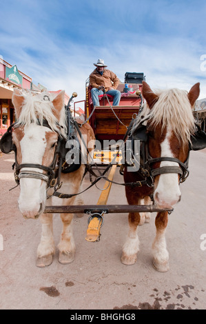 Tombstone, Arizona - Zugpferde warten, um eine Postkutsche voller Touristen ziehen. Stockfoto