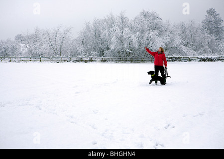 Lady werfen eine Spielzeug für ihren Hund Labradoodle, während in der Mitte ein Feld, das mit Schnee bedeckt ist Stockfoto