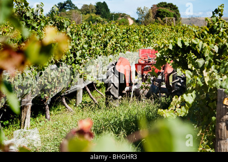 Traktor in den Weinbergen der Hawkes Bay, North Island, Neuseeland. Stockfoto