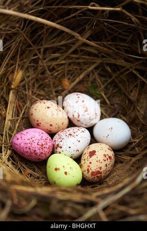 Mini Schokolade Ostereier im Vogelnest Stockfoto