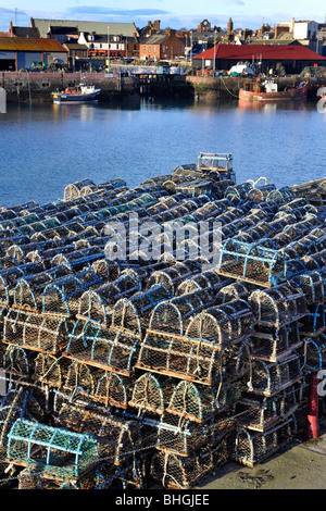 Hummer-Töpfe auf dem Kai, Arbroath Hafen, Arbroath, Angus, Schottland, UK Stockfoto