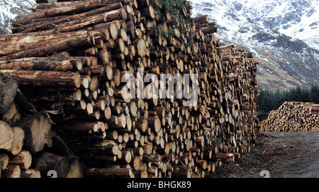 Anmeldung bei Glen Clova, Angus, Schottland, Vereinigtes Königreich. Stockfoto