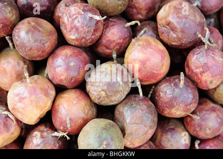 Passionsfrucht/Maracuja Passiflora edulis Stockfoto