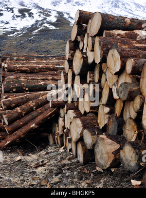 Anmeldung bei Glen Clova, Angus, Schottland, Vereinigtes Königreich. Stockfoto