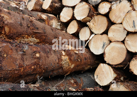 Anmeldung bei Glen Clova, Angus, Schottland, Vereinigtes Königreich. Stockfoto