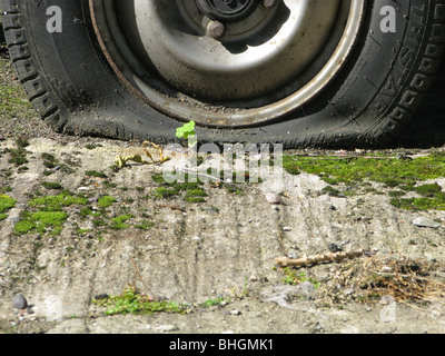alten van mit Platten Reifen Rad Stockfoto