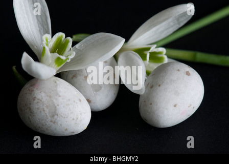 Easter Eggs Stockfoto