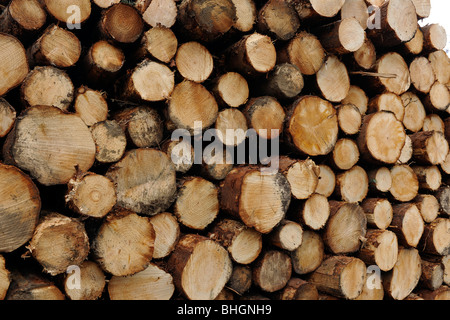 Anmeldung bei Glen Clova, Angus, Schottland, Vereinigtes Königreich. Stockfoto