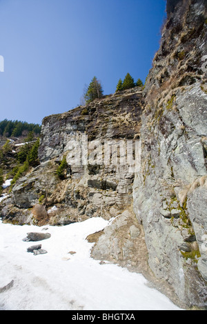 Blick auf einer Klippe mit Kiefern wachsen oben auf Felsen Stockfoto