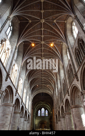 Nterne Aspekt des Kirchenschiffes in Hereford Cathedral. Stockfoto