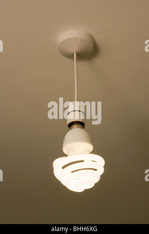 energiesparende niedriger Wattzahl Glühbirne Stockfoto
