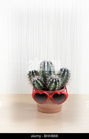 Kaktus Mit Herzfoermiger Sonnenbrille Stockfoto