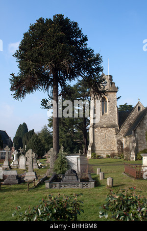 Englefield Green Cemetery Stockfoto