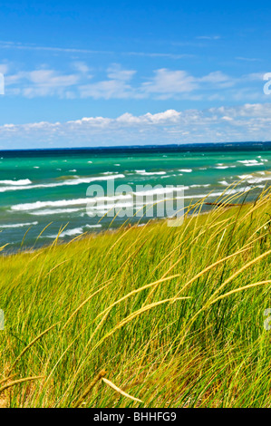 Rasen Sie auf Sanddünen am Strand. Fichtenwald provinzieller Park, Ontario Kanada Stockfoto