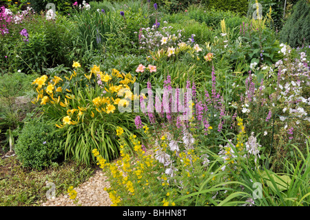 Taglilien (Hemerocallis), gepunkteten Felberich (lysimachia punctata) und blutweiderich (Lythrum salicaria). Design: Marianne und Detlef lüdke Stockfoto