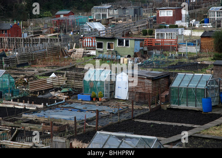 Kleingärten in Edinburgh Stockfoto