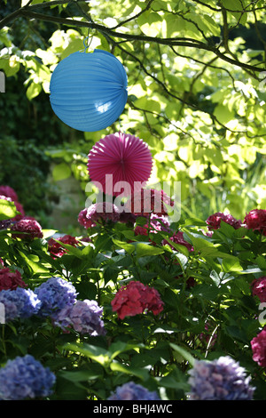 An einem Baum hängen Papierlaternen Stockfoto