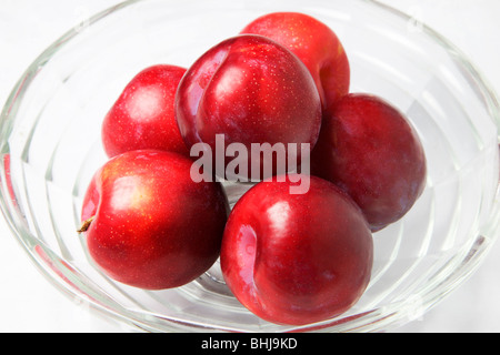 Roten Pflaumen in eine Glasschüssel auf weißem Hintergrund Stockfoto