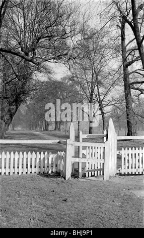 Eine nichtöffentliche Straße in der Nähe von Ham House, Richmond, London, c1945-c1965. Künstler: SW Rawlings Stockfoto