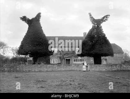 Eibe Baum Hecke Goosey Cottage, Goosey, Oxfordshire, c1860-c1922. Künstler: Henry Verspottung Stockfoto