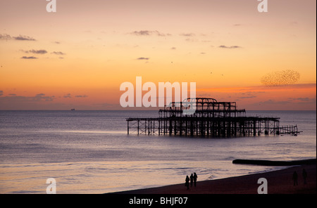 Sonnenuntergang mit einer Herde von Schlafplatz Stare West Brighton Pier verfallenen 2010 Stockfoto