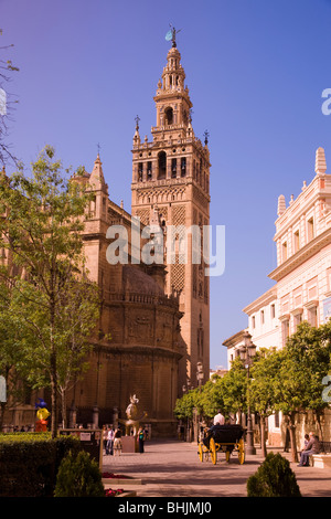 Giralda Turm und Kathedrale, Sevilla, Andalusien, Spanien Stockfoto