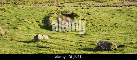 Bewachsenen Steinmauern der alten Croft Haus, Trotternish, Isle Of Skye, Schottland Stockfoto