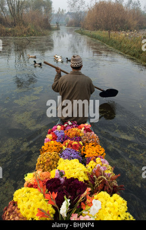 Schwimmende Markt Arbeiter, Dal-See, Srinagar, Kaschmir, Indien Stockfoto