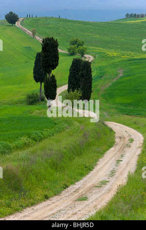 Italien, Toskana, in der Nähe von Pienza kurvenreiche Straße in Landschaft Stockfoto