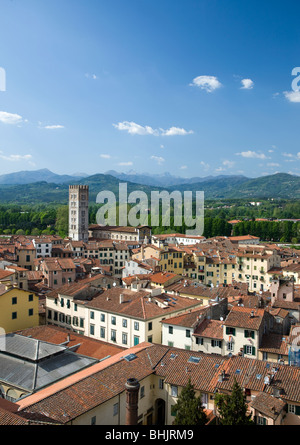 Italien, Toskana, Lucca, hohe Blick über Stadt Stockfoto