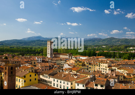 Italien, Toskana, Lucca, hohe Blick über Stadt Stockfoto