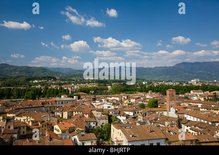 Italien, Toskana, Lucca, hohe Blick über Stadt Stockfoto