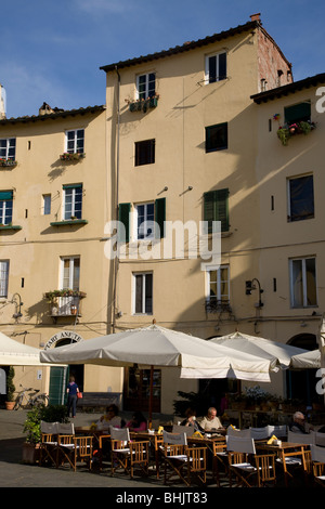 Häuser und Café auf Piazza Anfiteatro, Lucca, Toskana, Italien Stockfoto