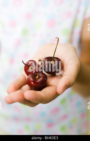 Hohlen Hand mit Kirschen Stockfoto